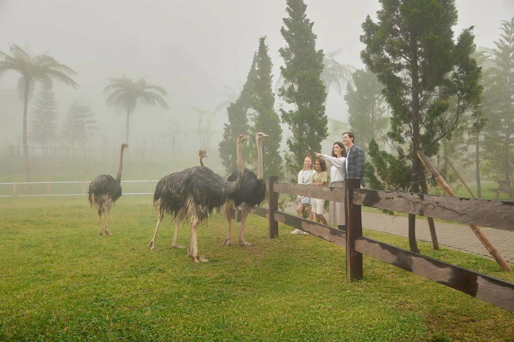 Bali Farm House, Alternatif Wisata di Bedugul Nih!