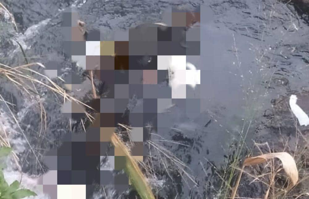 Penampakan lokasi penemuan jasad pria anonim di kali Kelurahan Tanjung Agung, Kecamatan Tanjung Karang Timur, Kota Bandar Lampung, Selasa (30/7/2024). (IDN Times/Istimewa)