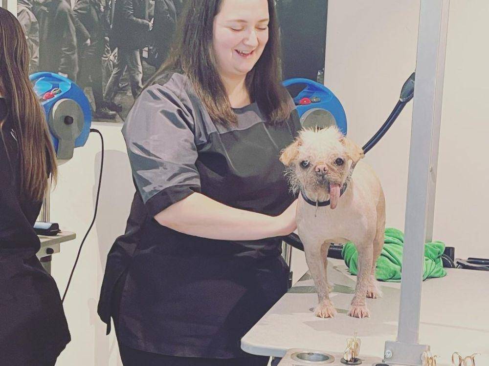 foto Peggy pemeran Dogpool di film Deadpool & Wolverine (instagram.com/dogpool)