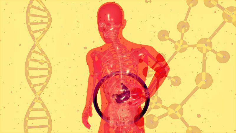 Perbedaan Hepatitis B dan C, Mana yang Lebih Bahaya?