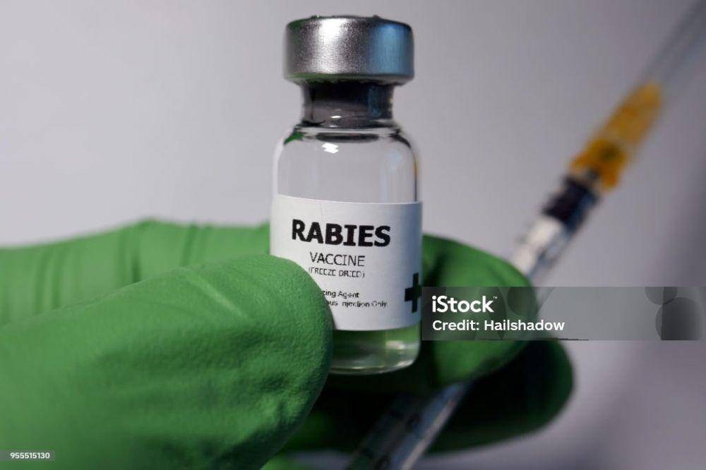 Ilustrasi vaksin rabies (istockphoto.com/Hailshadow)