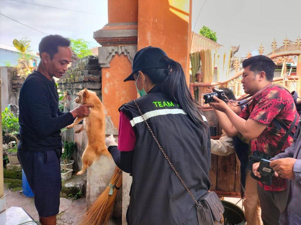 Pelaksanaan Vaksinasi Rabies di beberapa wilayah Kota Denpasar (Dok.IDN Times/istimewa)