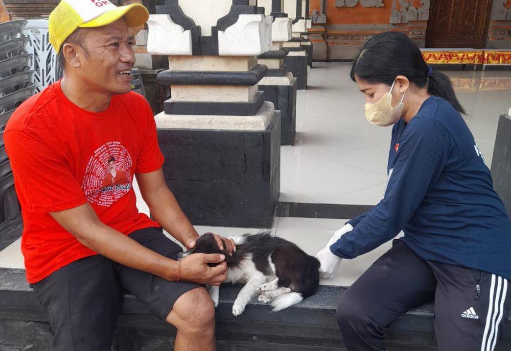 Pelaksanaan Vaksinasi Rabies di beberapa wilayah Kota Denpasar (Dok.IDN Times/istimewa)
