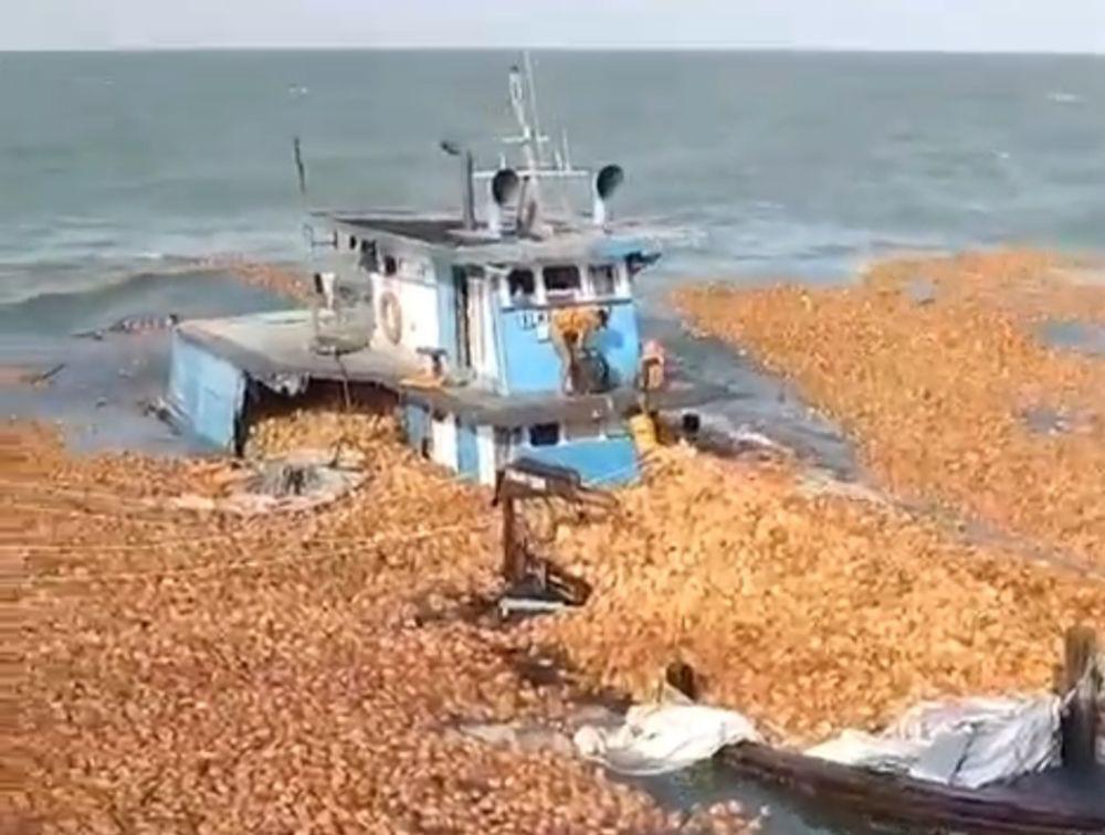 Bawa 160 Ton Kelapa, Kapal Ray Moon III Tenggelam di Selat Malaka