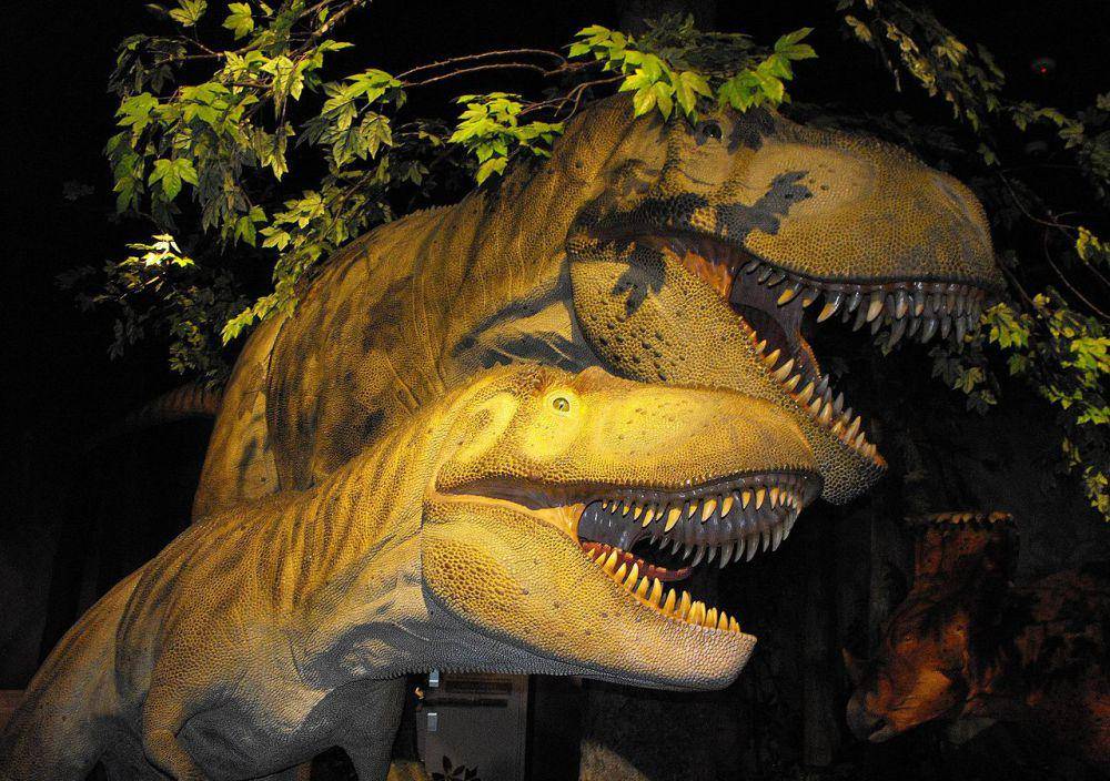 Rekonstruksi Daspletosaurus (commons.wikimedia.org/Kevin Guertin)