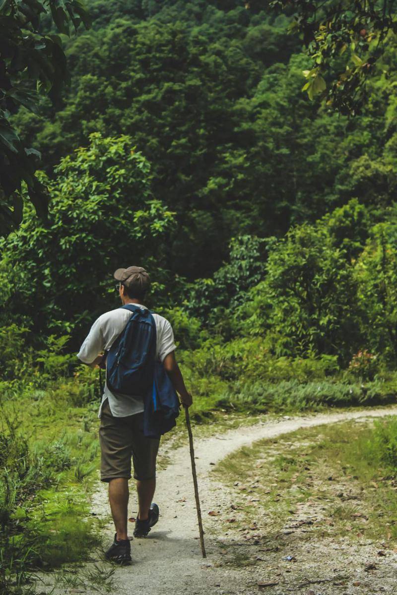 ilustrasi seorang sedang melakukan trekking di dalam hutan yang lebat (pexels.com/Saroj Gajurel)