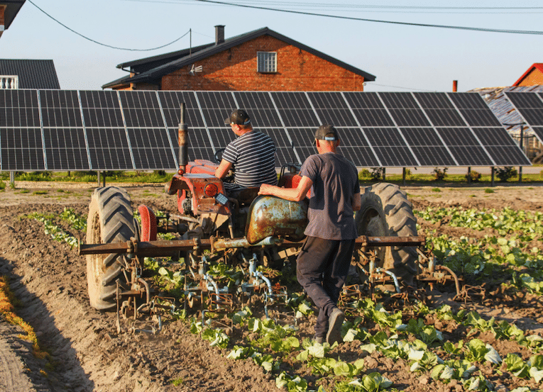 pexels.com/Aleksander Dumała