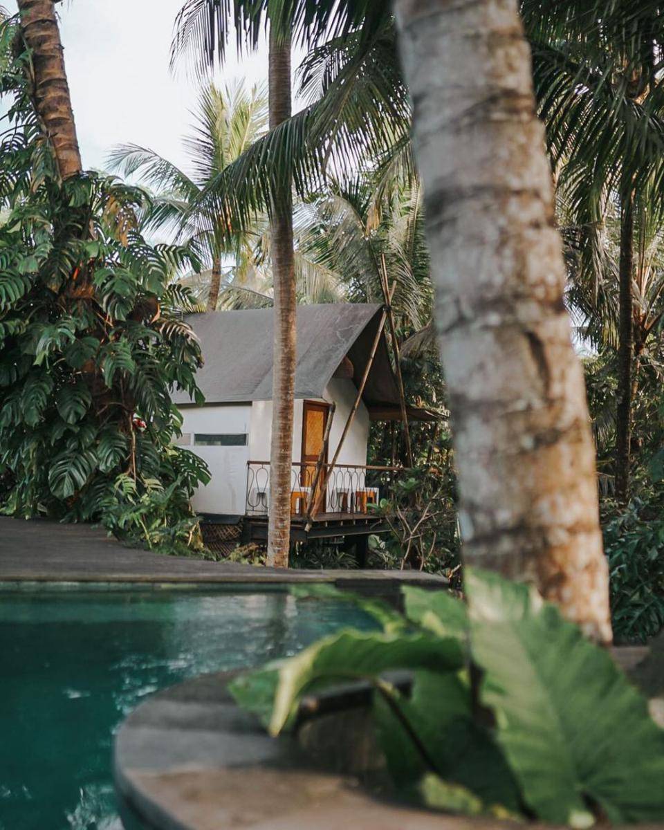 Ubud Tropical (instagram.com/ubudtropical)