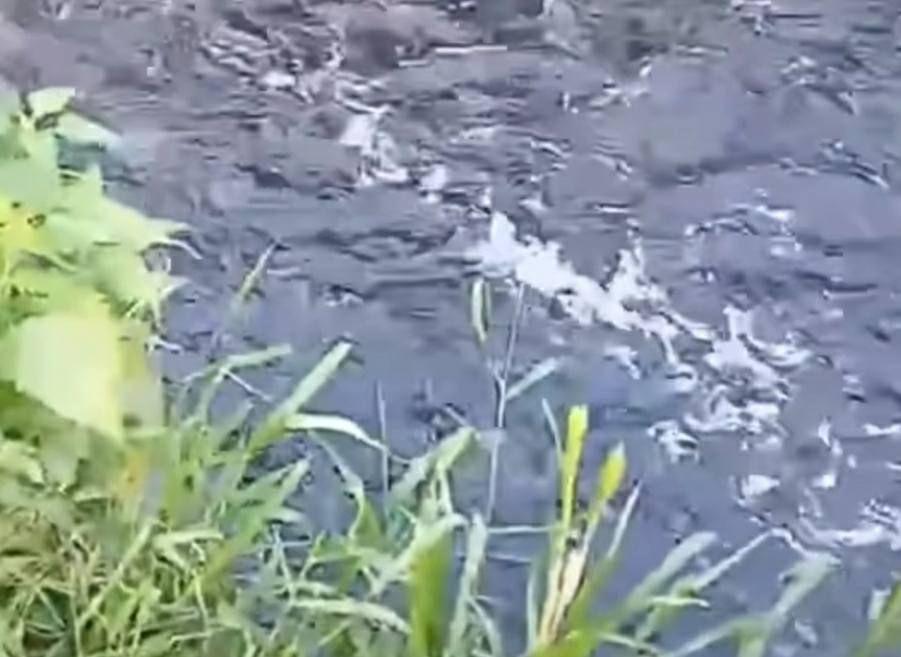 Viral Petani di Lembang Kesal Gegara Air Sungai Berubah Hitam Pekat