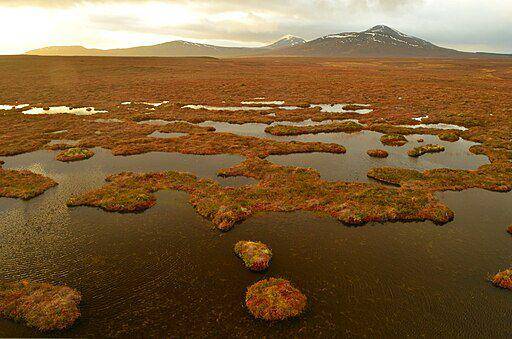 The Flow Country (commons.wikimedia.org/ Andrew Tryon)
