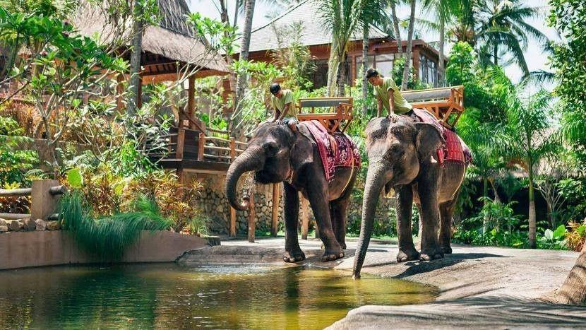 Lombok Wildlife Park, Destinasi Edukatif di Pulau Lombok