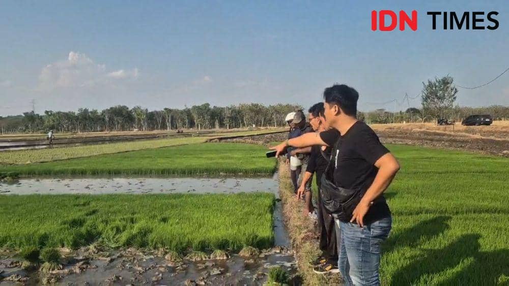 Diduga Cemburu Buta, Pria Ngawi Bacok Mantan Istri di Sawah