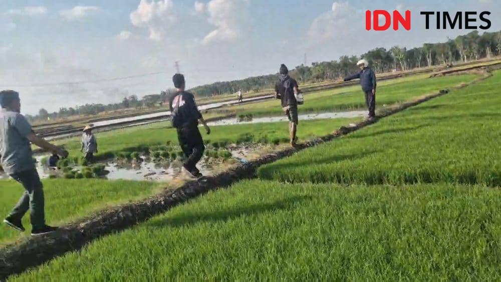 Disini Agus Rokhim (40), warga Desa Tambakboyo, Kecamatan Mantingan membacok mantan istrinya, Purwanti (33), dengan parang pada Rabu (31/07/2024) pagi. IDN Times/ Riyanto.