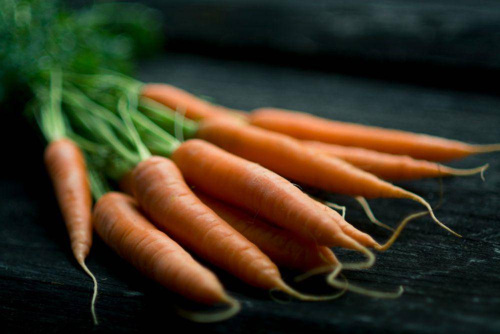 ilustrasi baby carrot atau wortel kecil (unsplash.com/Jonathan Pielmayer)
