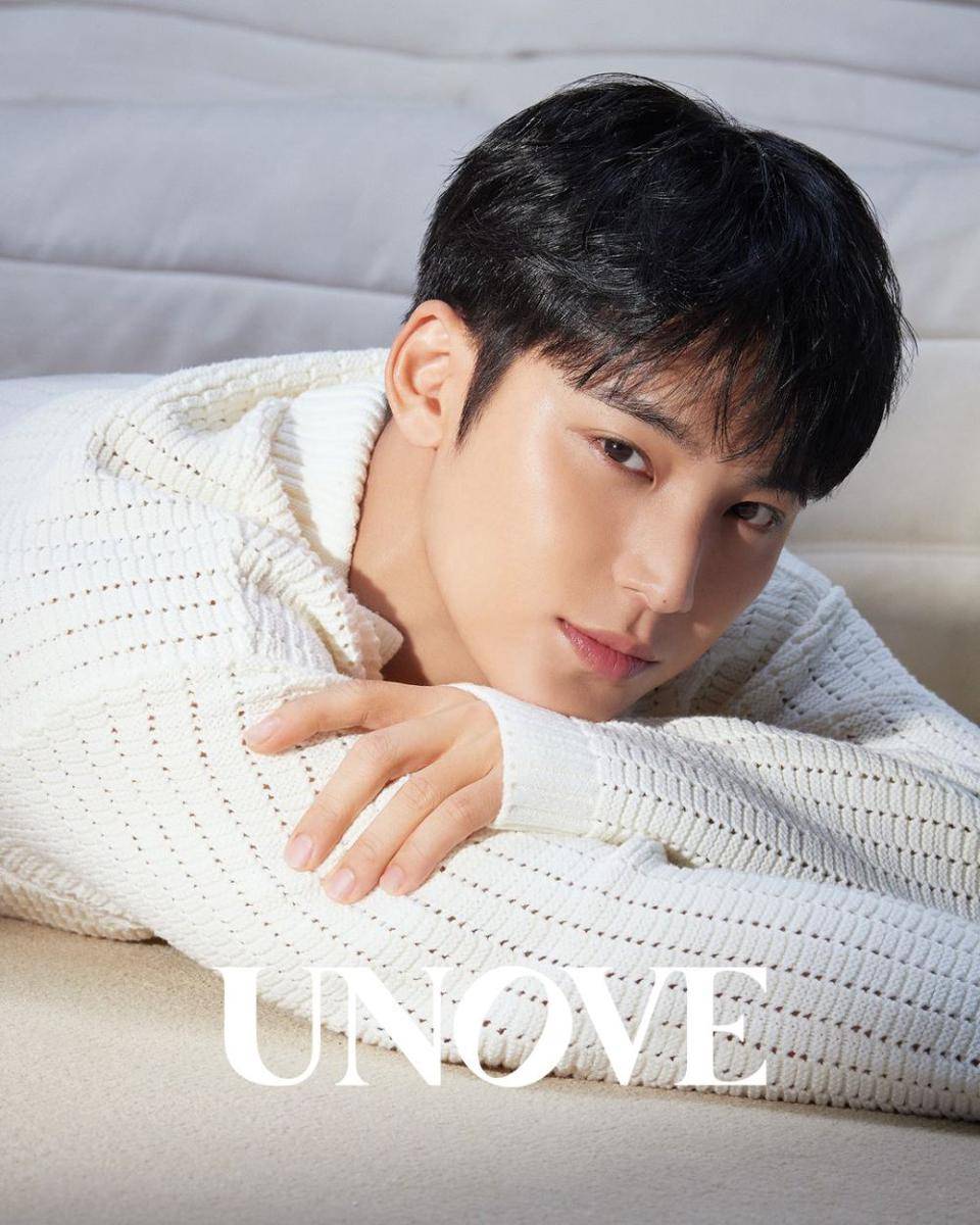 potret Mingyu SEVENTEEN (instagram.com/unove.jp)