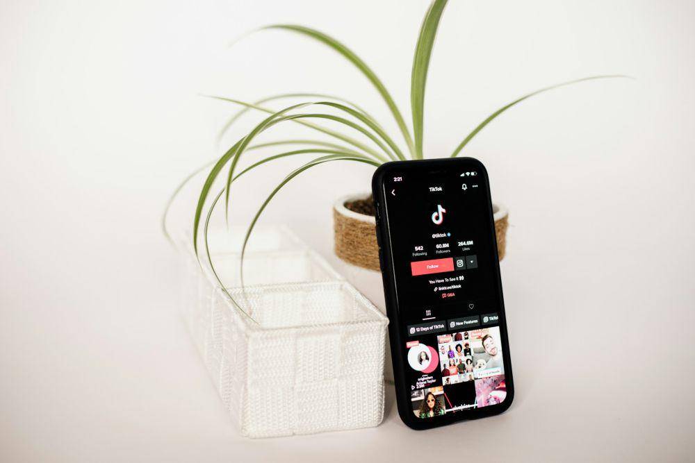 ilustrasi TikTok (unsplash.com/Collabstr)
