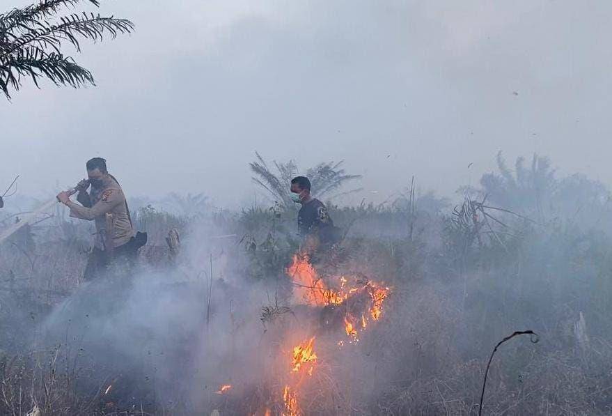 Karhutla yang terjadi di Provinsi Riau (IDN Times/ dok polda riau)
