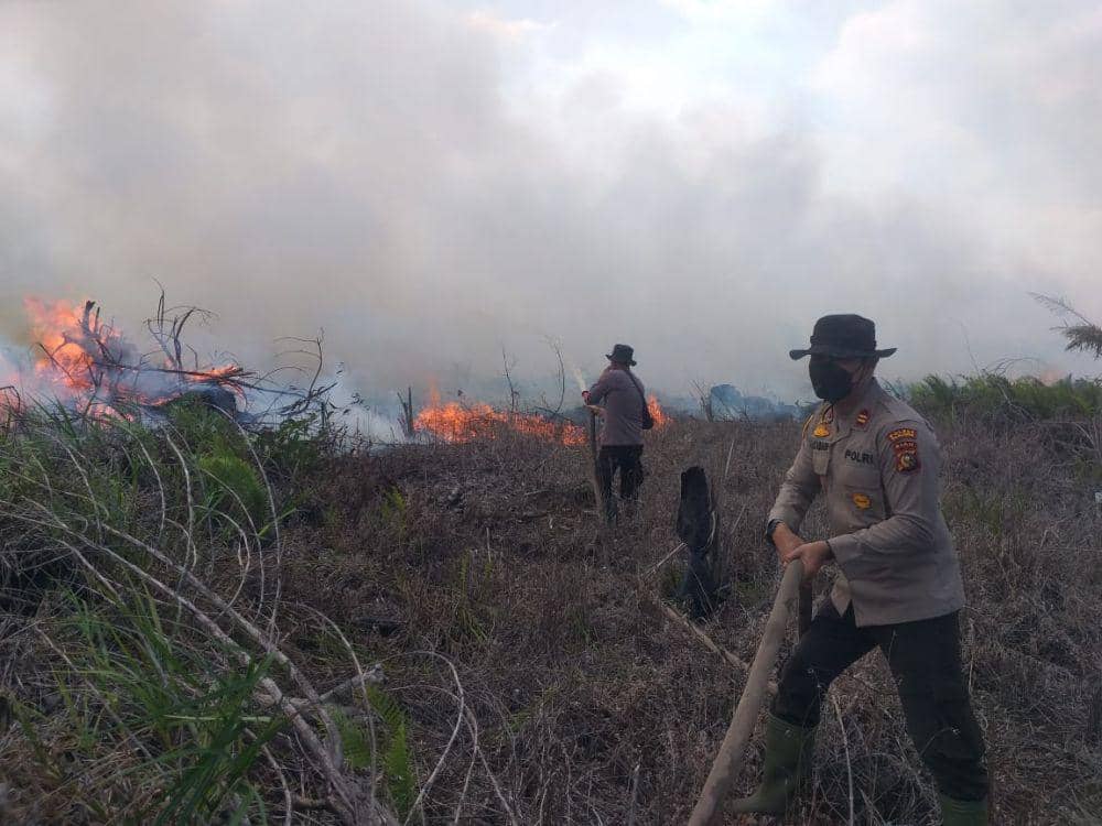 Pihak kepolisian saat memadamkan api di kawasan HGU PT PHI (IDN Times/ dok polda riau)