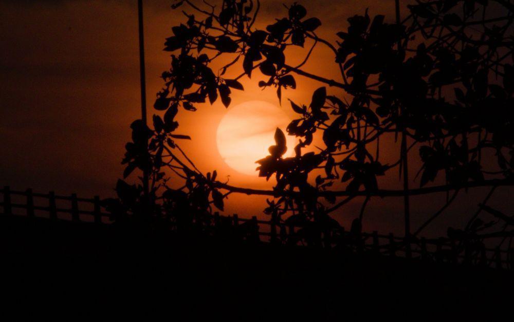 5 Contoh Susunan Acara Malam Tirakatan di Hari Kemerdekaan