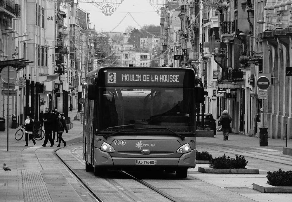 ilustrasi bus malam (unsplash.com/adlan)