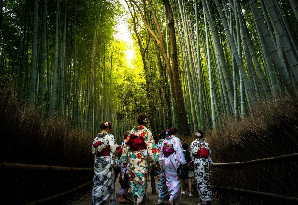 Arashiyama Bamboo Forest (unsplash.com/Gio Almonte)