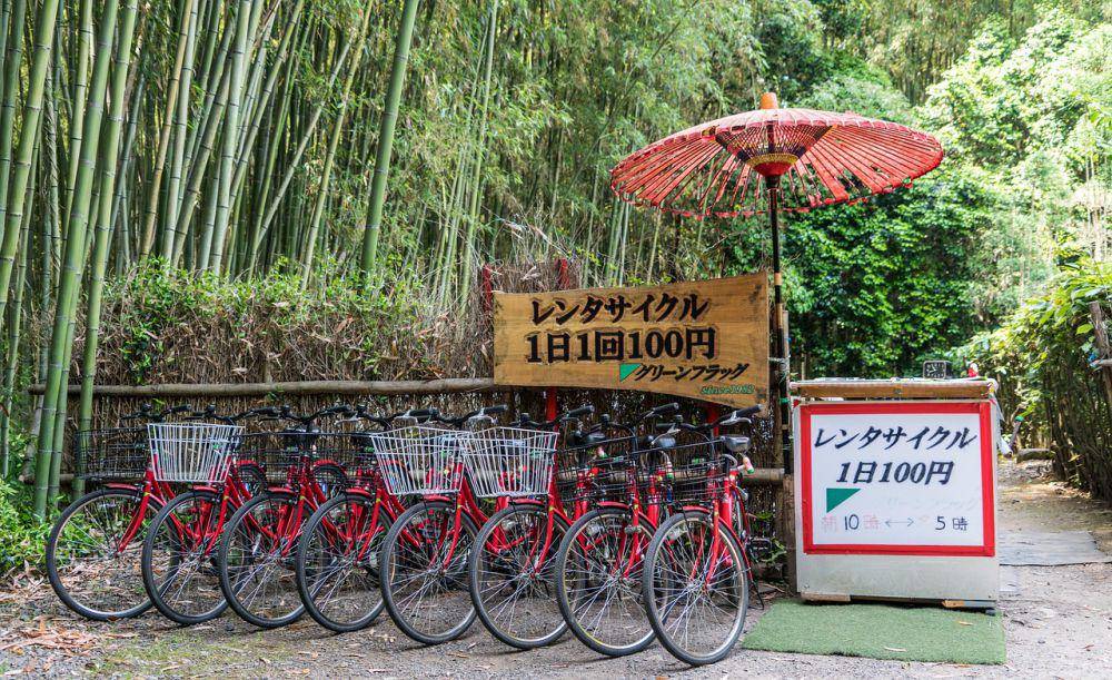 Arashiyama Bamboo Forest (pixabay.com/Michelle_Raponi)