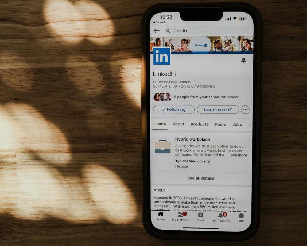 ilustrasi profil linkedin (pexels.com/Airam Dato-on)