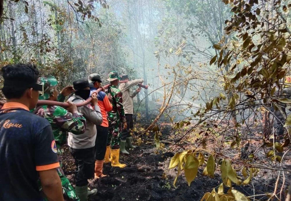 Sumber Air Jauh dari Api, Karhutla di PALI Sulit Dipadamkan