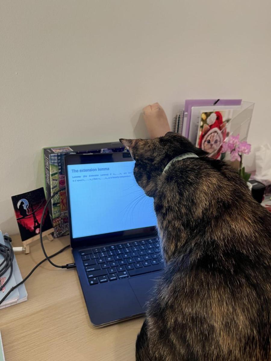 potret kucing ganggu pemiliknya belajar (reddit.com/user/emn0101)