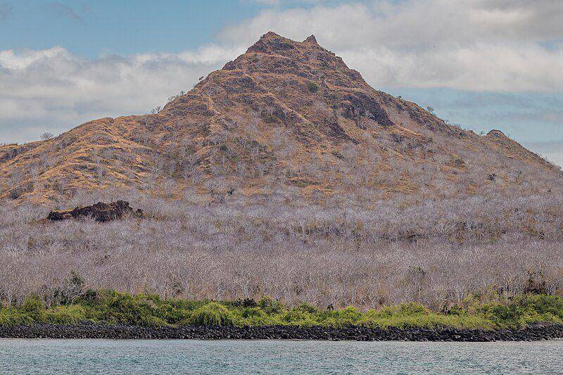 Perairan sekitar Pulau Galapagos jadi rumah bagi ikan kelelawar berbibir merah. (commons.wikimedia.org/Ooligan The Official CTBTO)