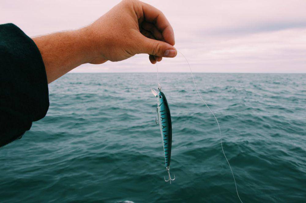 ilustrasi memancing (pexels.com/Mael BALLAND)