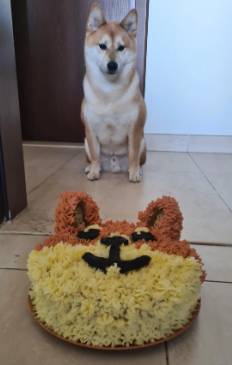 potret kue ulang tahun anabul mirip aslinya (reddit.com/chelmoon)