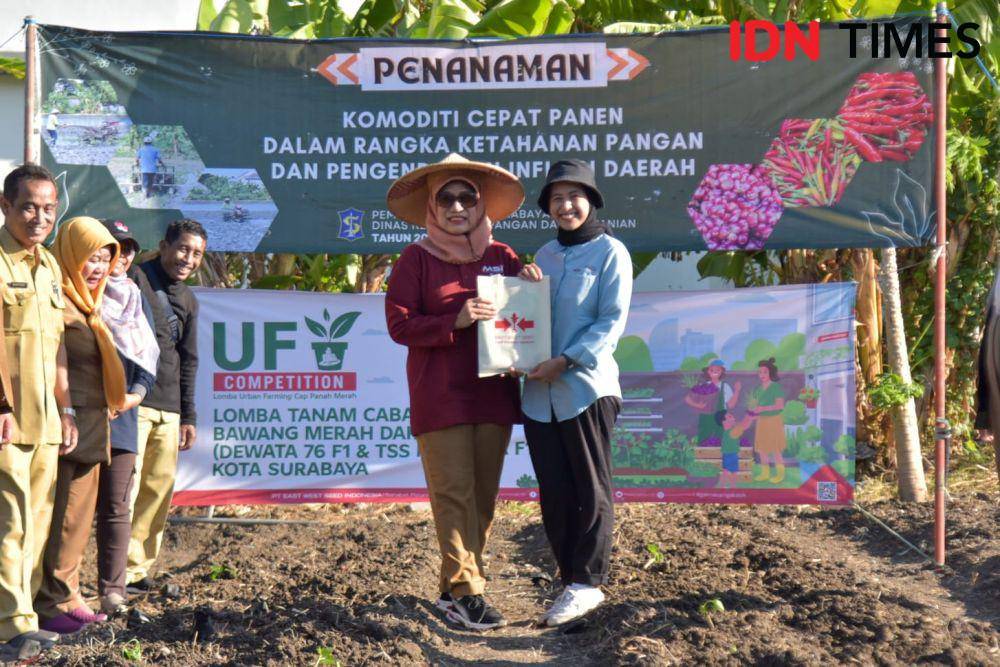Penanaman serentak cabai dan bawang  di Surabaya. (Dok. Diskominfo Kota Surabaya for IDN Times).