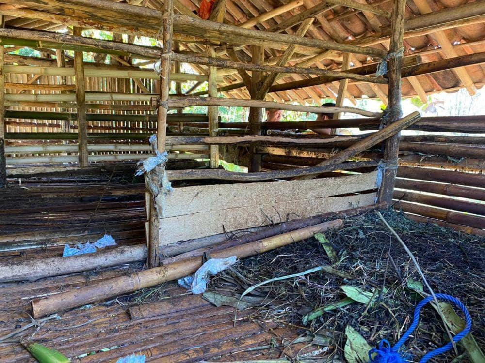 Kondisi kandang kambing usai didatang macan tutul di Sukabumi (IDN Times/Siti Fatimah)