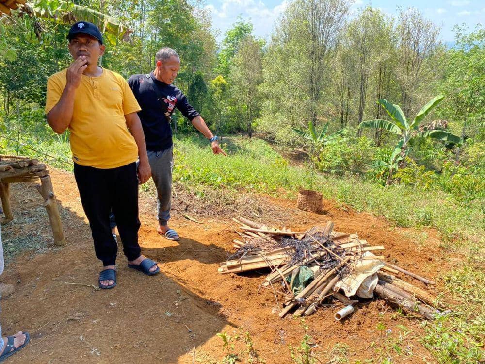 Warga menunjukkan lokasi hewan ternak yang diterkam macan tutul dikuburkan (IDN Times/Siti Fatimah)