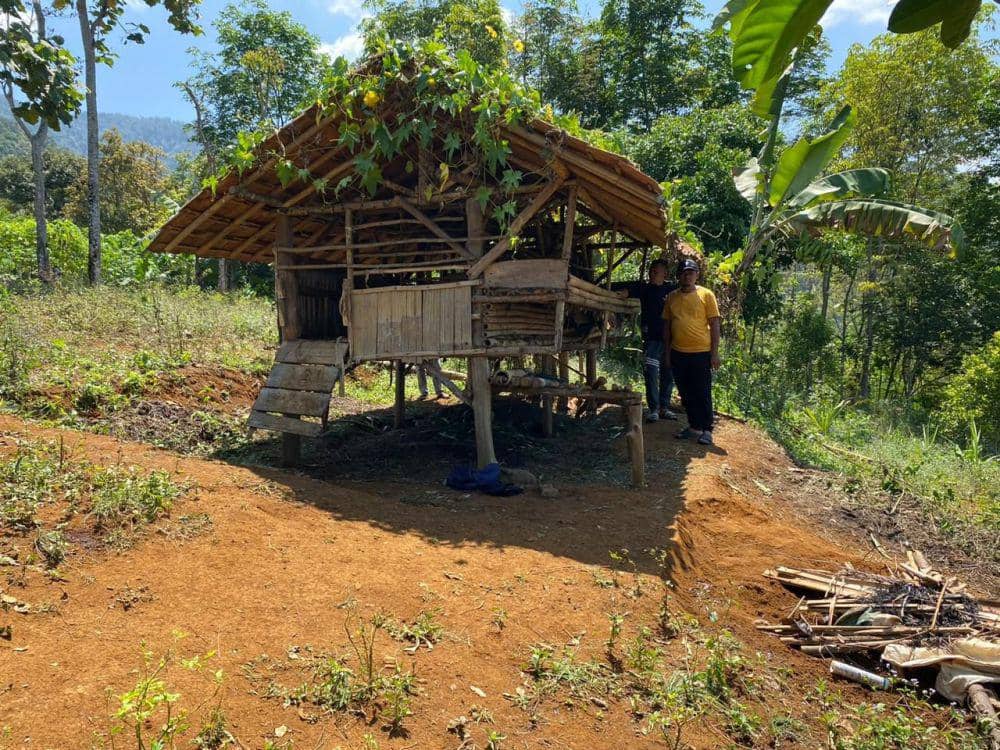 Teror Macan Tutul di Sukabumi, 10 Kambing Tewas Diterkam
