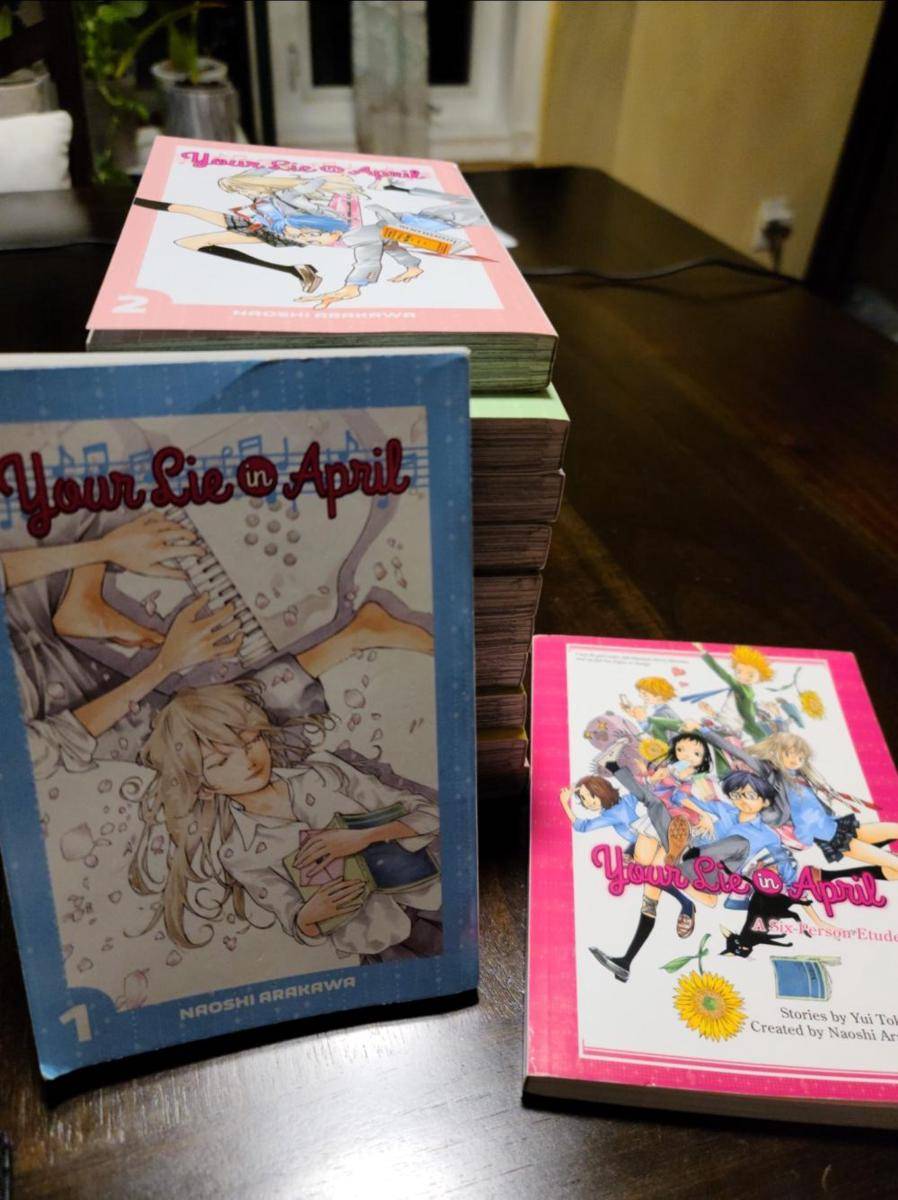 potret koleksi Your Lie in April (reddit.com/user/Vietdude100)