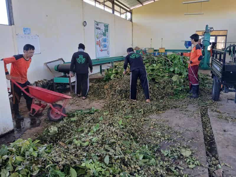 Sampah organik yang diambil dari sungai di Banjarmasin.
