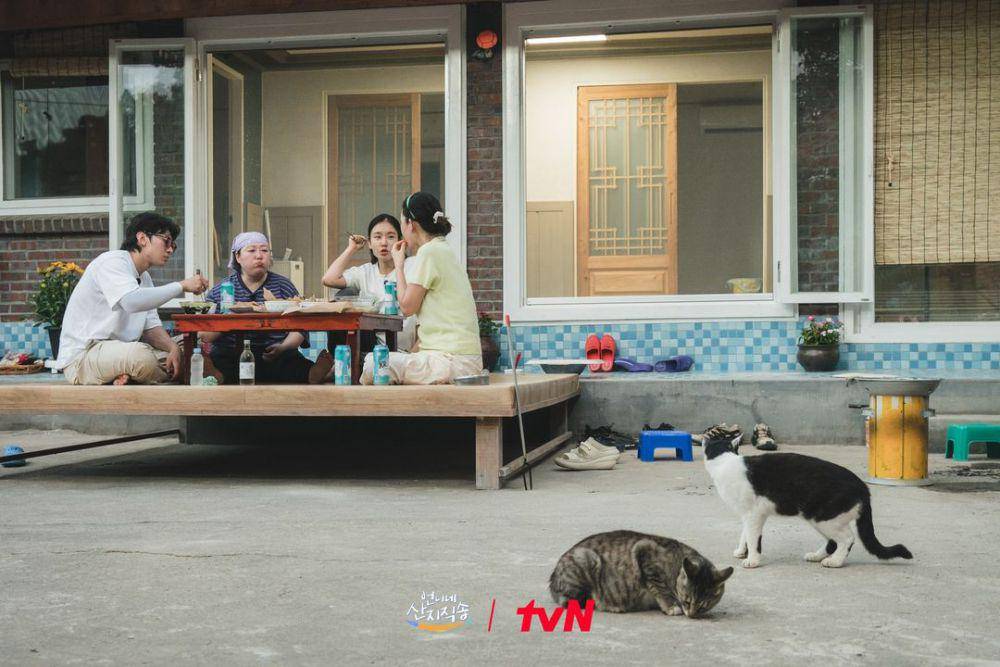 cuplikan variety show Korea Fresh Off The Sea (instagram.com/tvn_joy)