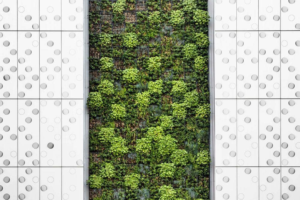 Ilustrasi taman vertikal (unsplash.com/Pawel Czerwinski)