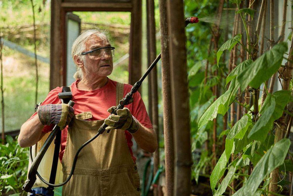 The Gardener (dok. Karlovy Vary IFF/The Gardener)