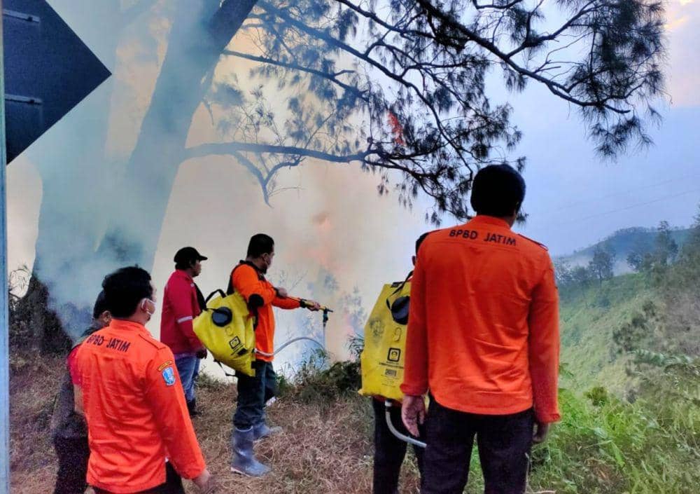 Niat Jalan-jalan, BPBD Jatim Temukan Karhutla di Bromo