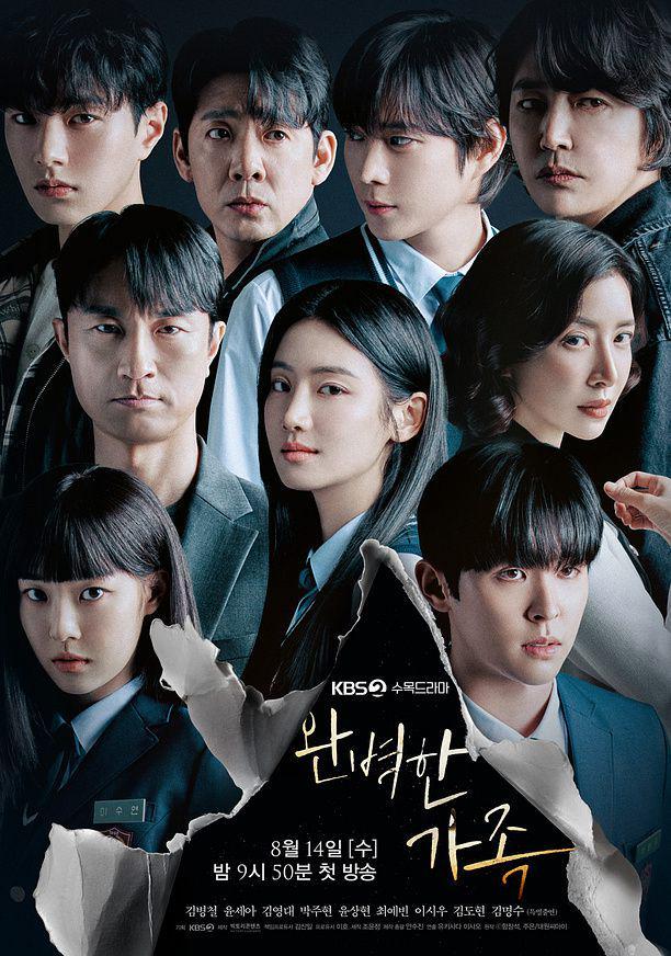 poster drama Perfect Family (dok. KBS/Perfect Family)