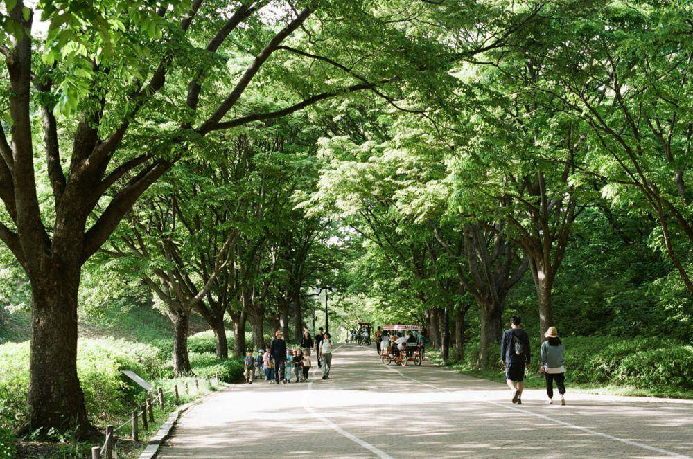 Seoul Olympic Park (unsplash.com/byquincy)
