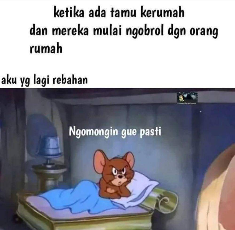 meme tamu (instagram.com/lesmantaxd)