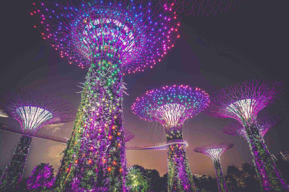 Ilustrasi Supertree Grove Singapura (unsplash.com/Mike Enerio)