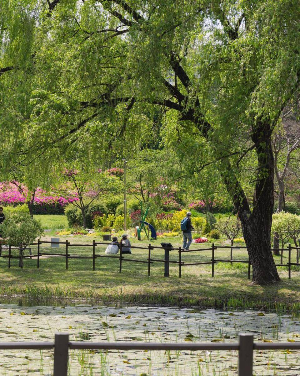 Yongsan Family Park (instagram.com/visitseoul_official)