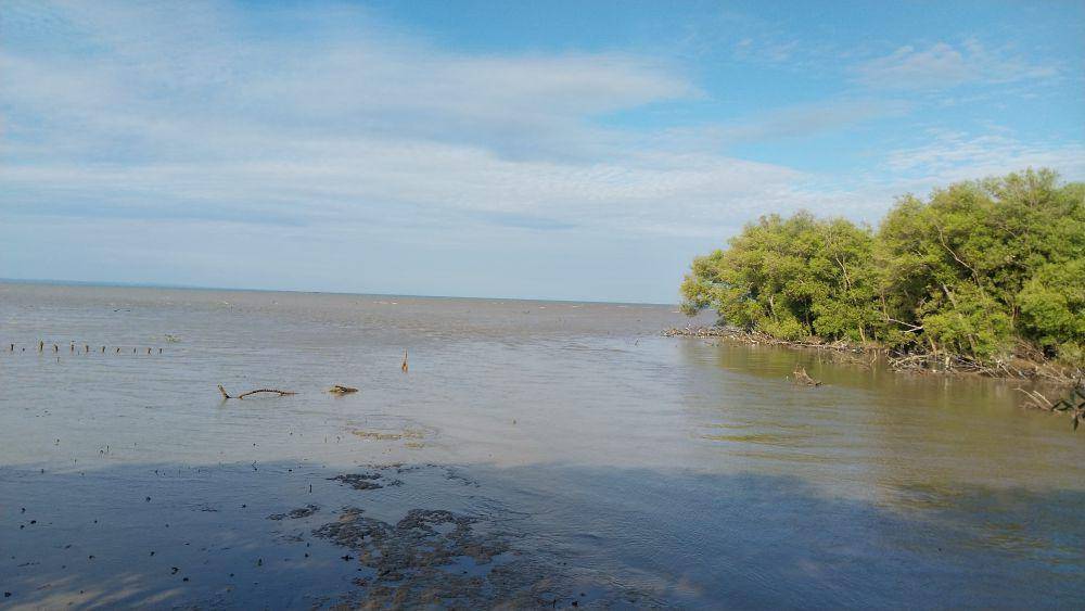 Muara pantai (Dok. IDN Times Jatim/Ryzka Tiara)