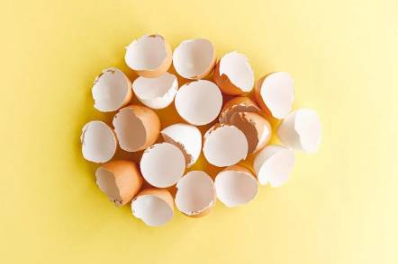 ilustrasi kulit telur (pexels.com/shvetsa)