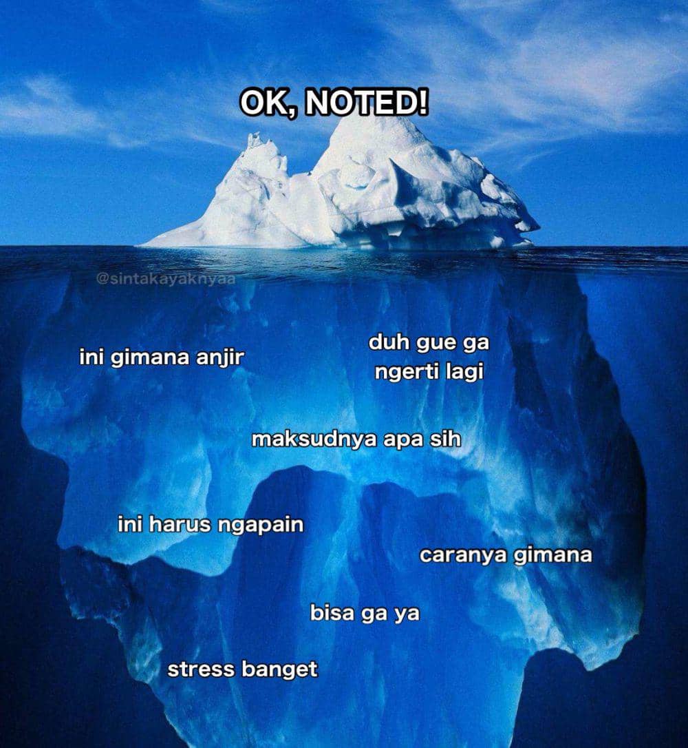 Meme perbedaan antara apa yang terlihat dan apa yang dirasakan(x.com/sintakayaknyaa)